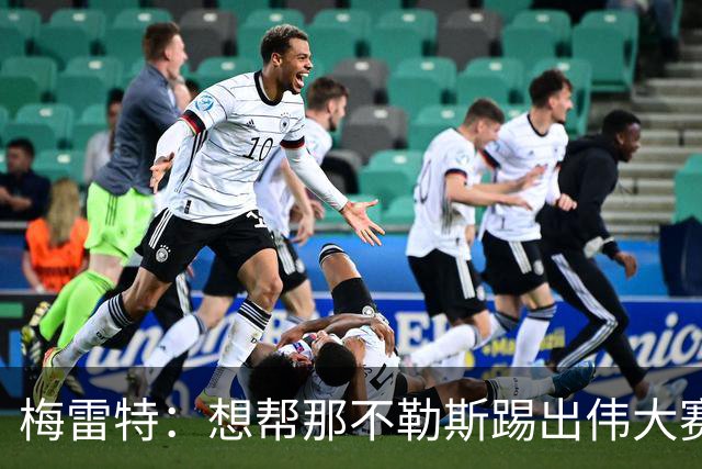 梅雷特：想帮那不勒斯踢出伟大赛季，在欧冠中尽可能走得更远